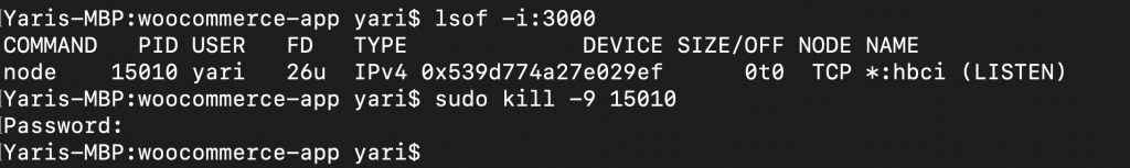 mac terminal commands kill process