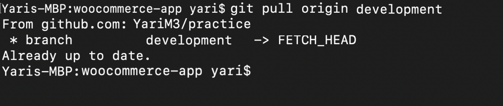 Comando 'git pull origin development'