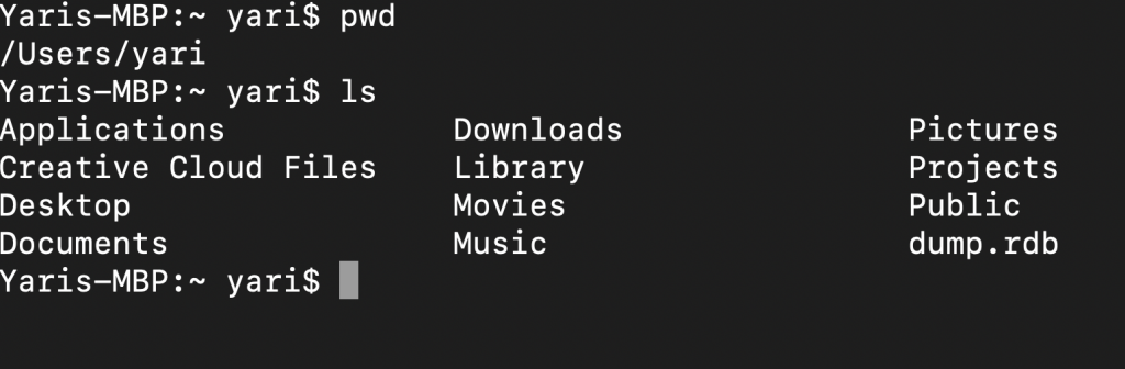 Terminal MAC imprimiendo archivos dentro del directorio /Users/yari
